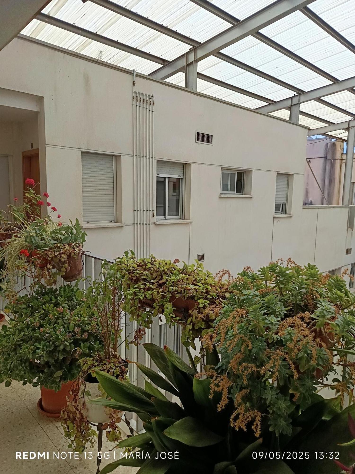 Disfruta Granada,Incluso Con Tu Mascota Parking Apartman Kültér fotó